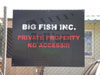 big fish sign survivor micronesia